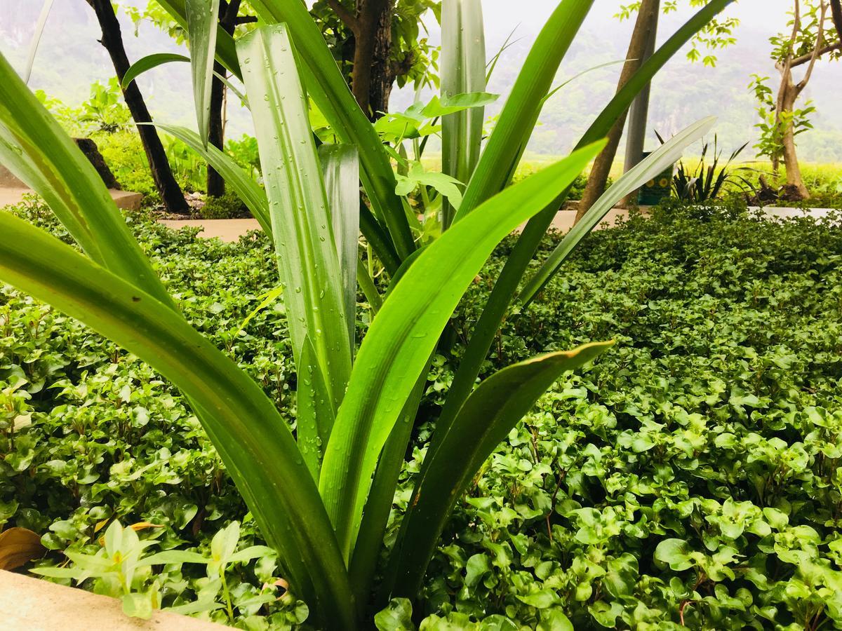 Trang An Nature House Νιν Μπιν Εξωτερικό φωτογραφία